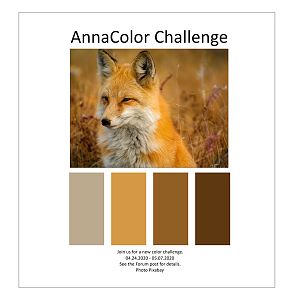 AnnaColor Challenge 04.24.2020 - 05.07.2020