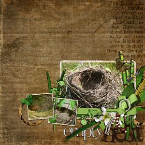 Empty Nest