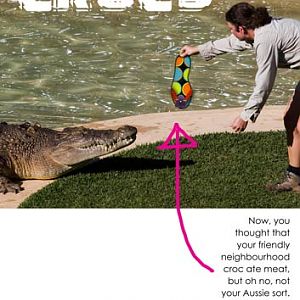 FLIP FLOP CHALLENGE: The Truth about Crocs