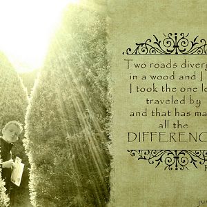 Two roads diverged in a wood ....