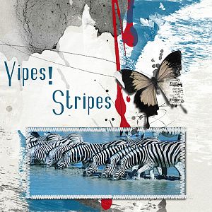 Yipes! Stripes