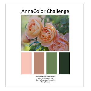 AnnaColor Challenge 05.22.2020 - 06.04.2020.