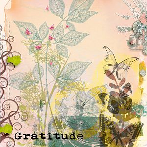 GRATITUDE