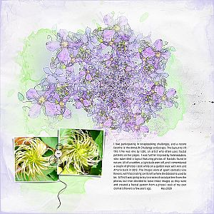 Fractal Clematis - AnnaLift