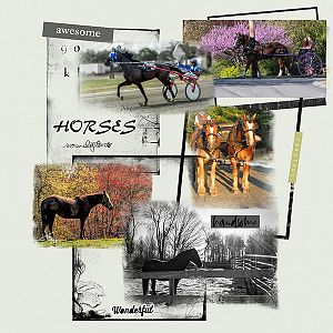 Horses - Anna Lift 05/29 - 06/12