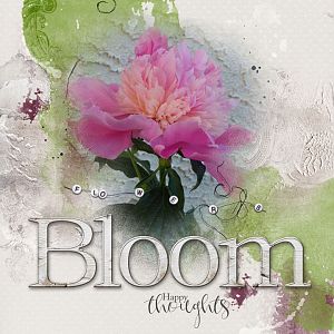 Bloom Happy Thoughts