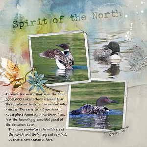 Spirit of the North