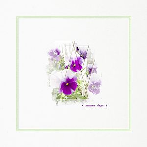 Purple Pansies - Challenge 7