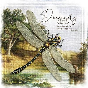 Dragonfly