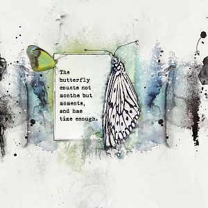 Be A Butterfly