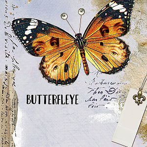 butterfleye