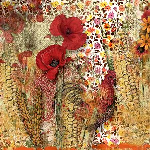 The Poppy, the rooster and the corn