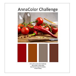 AnnaColor Challenge 08.21.2020 - 09.03.2020