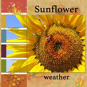 AFT Designs | September 2020 Challenge- Sunflower weather