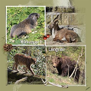Wildlife Park Langnau