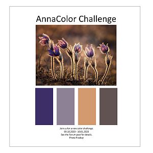 AnnaColor Challenge 09.18.2020 - 10.01.2020