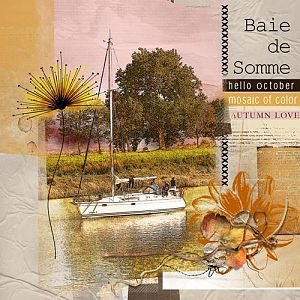 Baie de Somme en automne/ entre du chenal