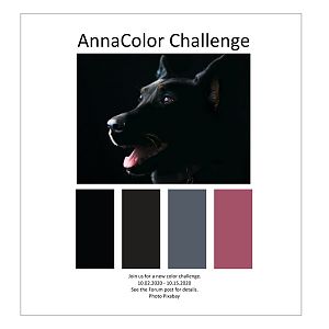 AnnaColor Challenge 10.02.2020-10.15.2020