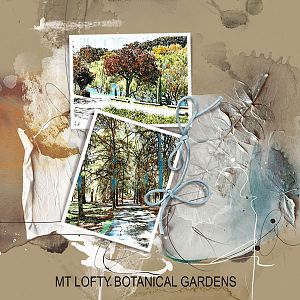 Mt Lofty Gardens