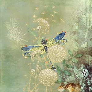 dragonfly wishes