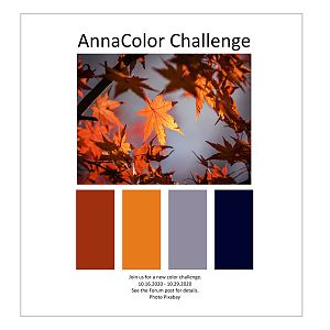 AnnaColor Challenge 10.16.2020 - 10.29.2020