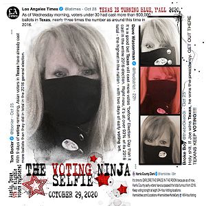 Ninja Voting Selfie