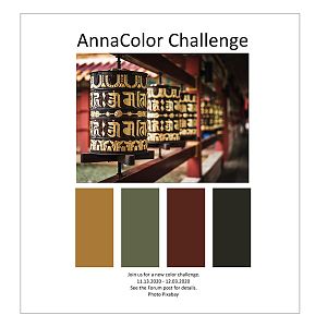 AnnaColor Challenge 11.13.2020 - 12.03.2020