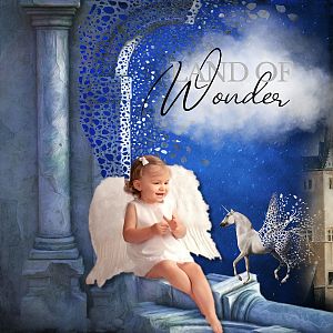 Land of Wonder-Lynne Anzelc Design