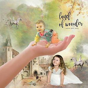 Land of Wonder-Lynne Anzelc Design