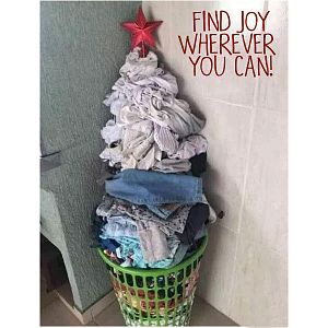 Find Joy Wherever You Can