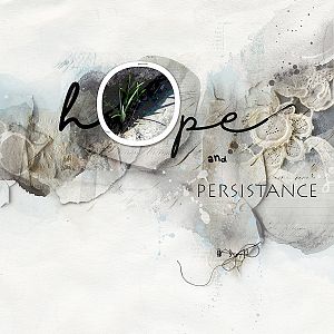 Hope and Persistance