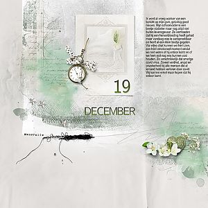 documenting december 19