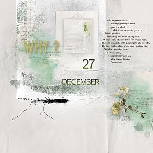 documenting december 27