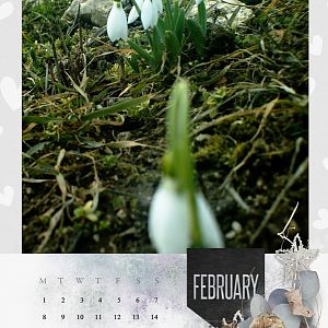 2021 template Calendar ~ February