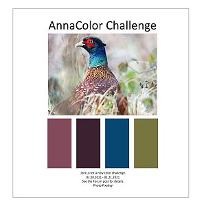 AnnaColor Challenge 01.08.2021 - 01.21.2021