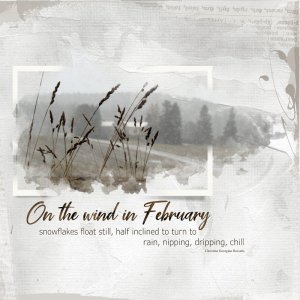 On the Wind In February