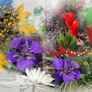 Early Flowers Collage