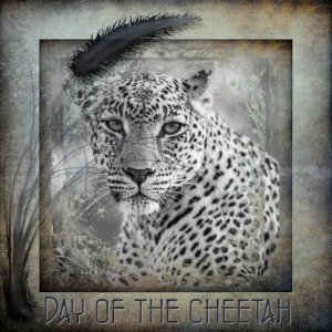 Day of the Cheetah