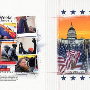 Three Weeks in January Stand Back | Stand By | Insurrection | Inauguration