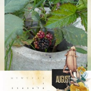 2021 template Calendar ~  August
