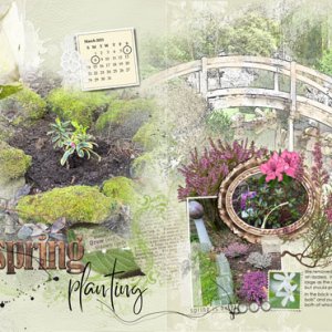 AnnaColor-2-26 SpringPlanting