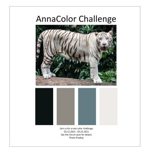 AnnaColor Challenge 03.12.2021 - 03.25.2021