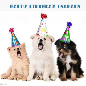 Happy Birthday OScraps