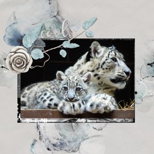 AnnaColor snow leopard.jpg