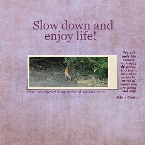 Slow Down and Enjoy Life