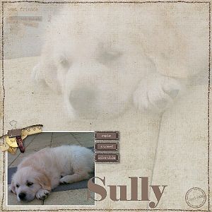 Sully