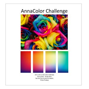AnnaColor Challenge 04.23.2021 - 05.06.2021