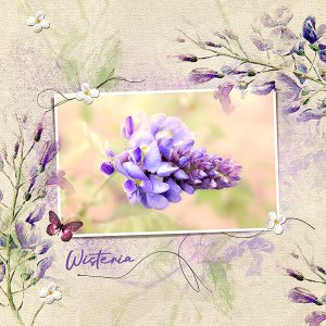Wisteria - AnnaColor Challenge