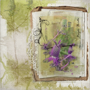 Purple Thistle/Anna color chall