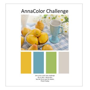 AnnaColor Challenge 05.21.2021 - 06.03.2021